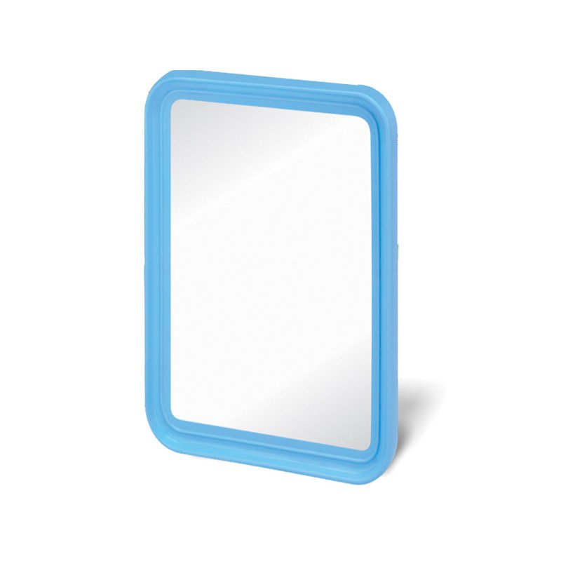 Compact Mirror- 17.5X12.5Cm